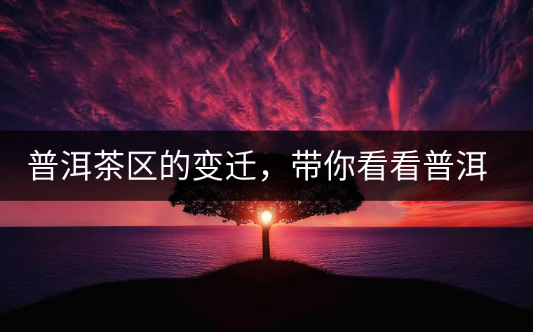 普洱茶區(qū)的變遷，帶你看看普洱茶地域分布