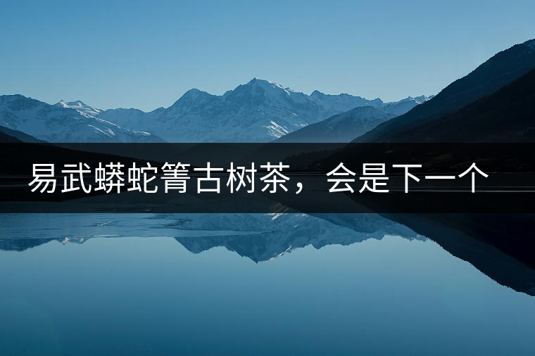 易武蟒蛇箐古樹茶，會是下一個銅箐河嗎？