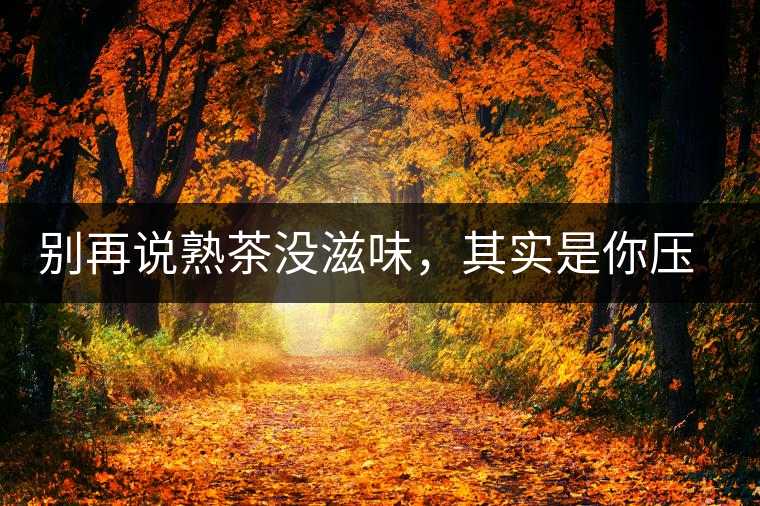 別再說(shuō)熟茶沒(méi)滋味，其實(shí)是你壓根沒(méi)喝懂