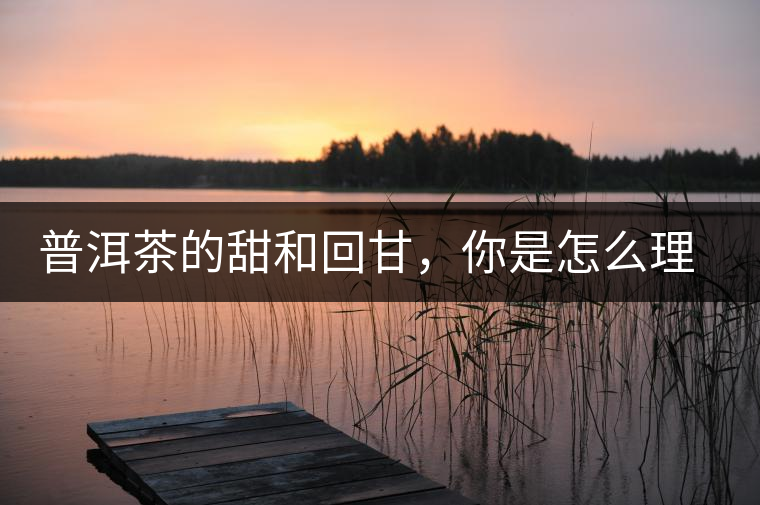 普洱茶的甜和回甘，你是怎么理解的？