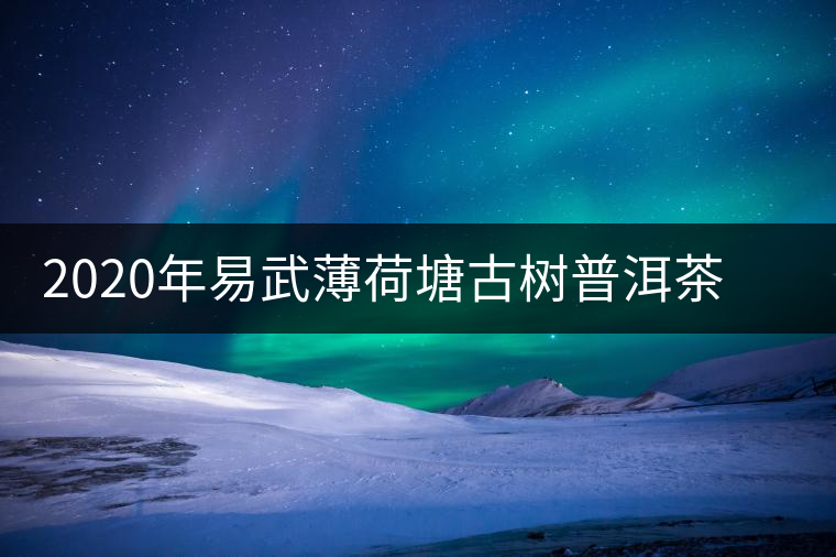 2020年易武薄荷塘古樹普洱茶特點(diǎn)，價(jià)格又上漲了嗎？