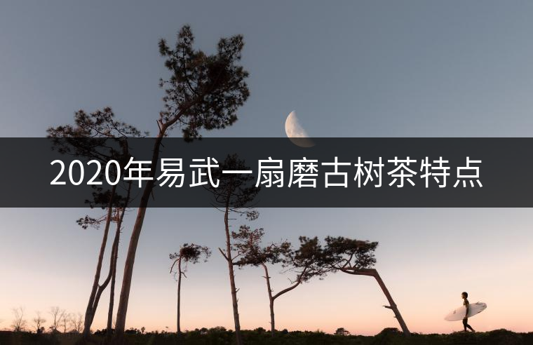 2020年易武一扇磨古樹(shù)茶特點(diǎn) 2020年易武一扇磨古樹(shù)茶特點(diǎn)