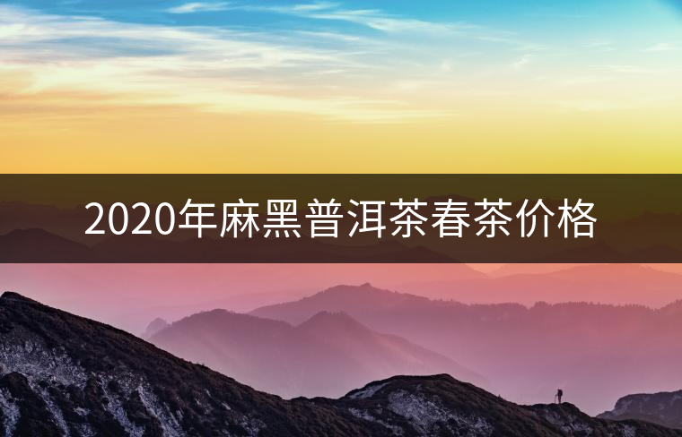2020年麻黑普洱茶春茶價(jià)格 2020年麻黑普洱茶春茶價(jià)格