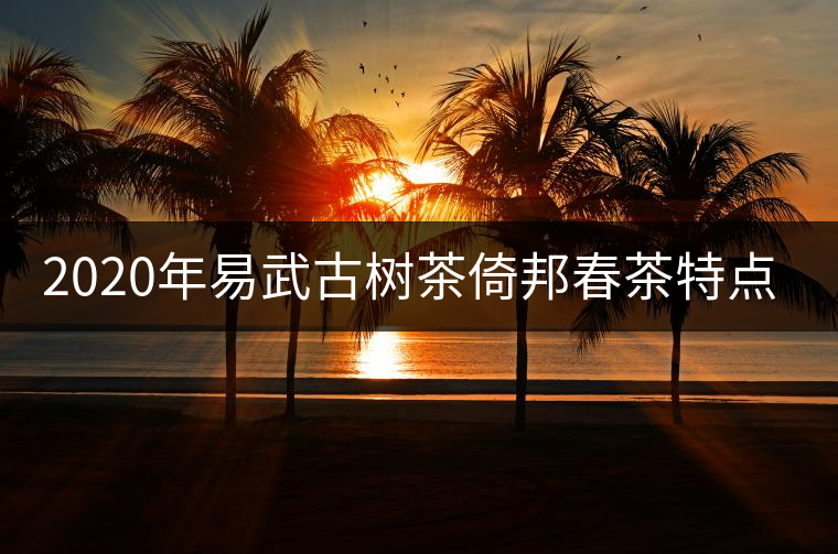 2020年易武古樹茶倚邦春茶特點與價格 2020年易武古樹茶倚邦春茶特點與價格