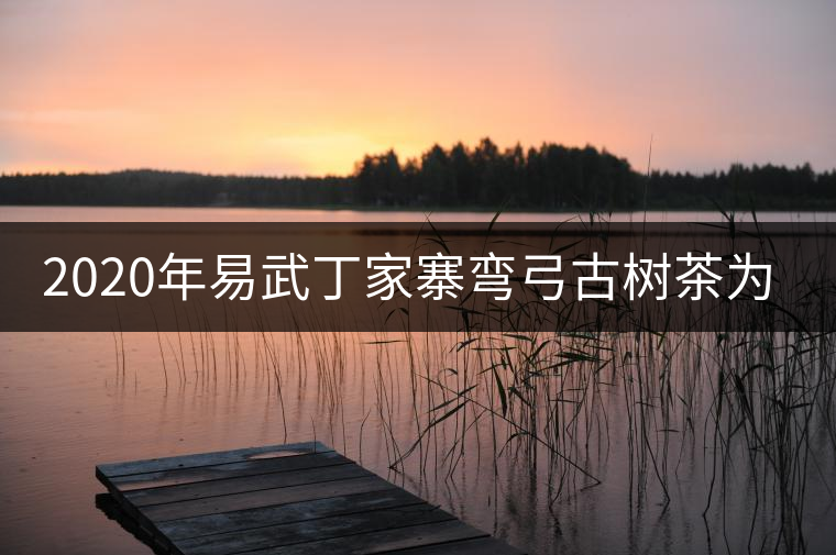 2020年易武丁家寨彎弓古樹茶為什么這么受追捧！