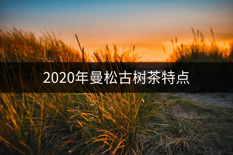 2020年曼松古樹(shù)茶特點(diǎn) 2020年曼松古樹(shù)茶特點(diǎn)