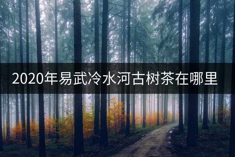 2020年易武冷水河古樹茶在哪里? 2020年易武冷水河古樹茶在哪里?