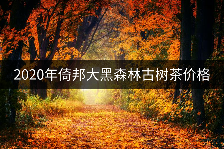 2020年倚邦大黑森林古樹茶價格 2020年倚邦大黑森林古樹茶價格