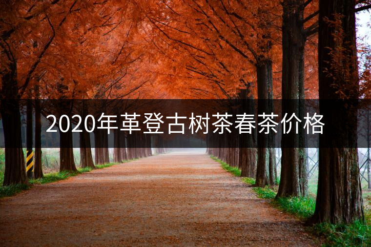 2020年革登古樹茶春茶價格 2020年革登古樹茶春茶價格