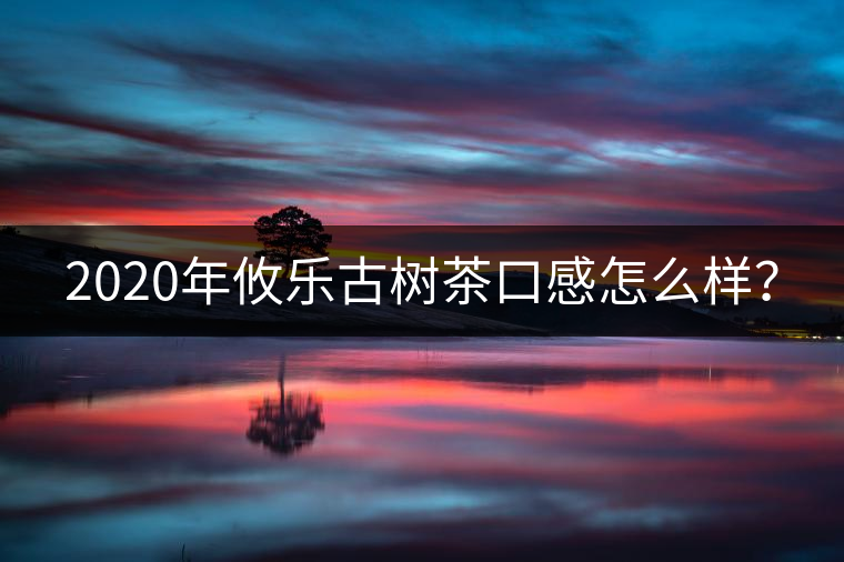 2020年攸樂古樹茶口感怎么樣？