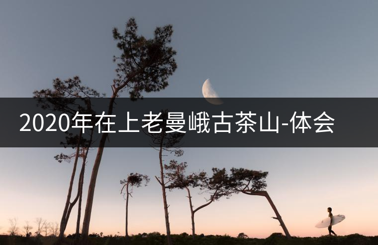 2020年在上老曼峨古茶山-體會人生 2020年在上老曼峨古茶山-體會人生