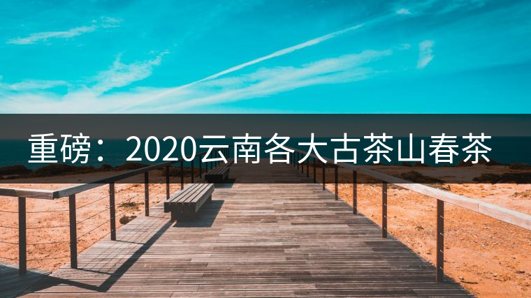 重磅：2020云南各大古茶山春茶價(jià)格發(fā)布