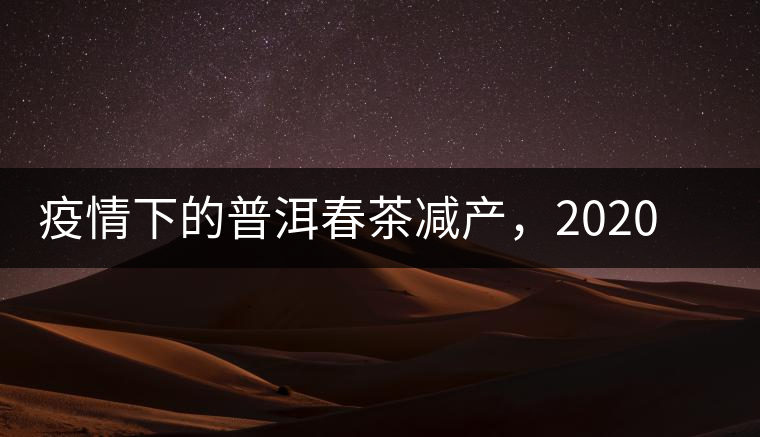 疫情下的普洱春茶減產(chǎn)，2020年價(jià)格“兩極分化”或成常態(tài)？