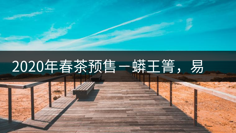 2020年春茶預(yù)售－蟒王箐，易武一個蟒蛇出沒的地方