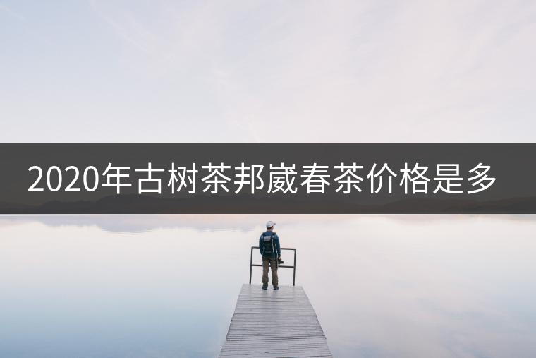 2020年古樹(shù)茶邦崴春茶價(jià)格是多少？