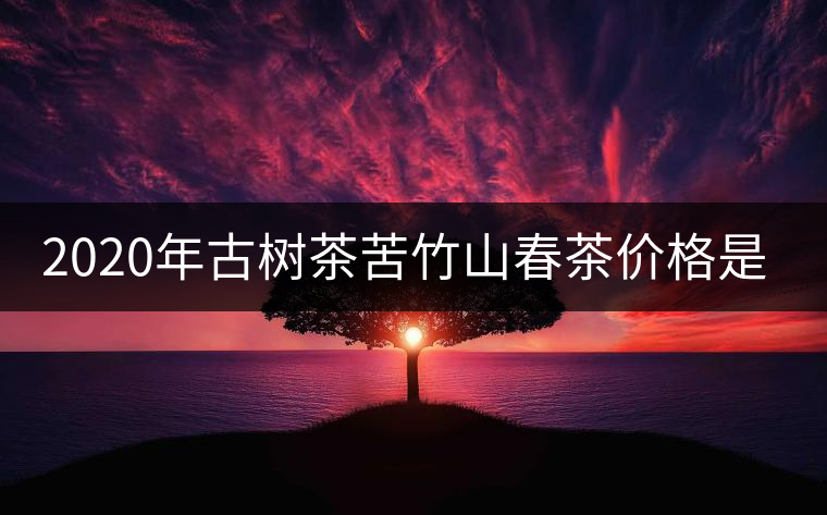 2020年古樹茶苦竹山春茶價格是多少？