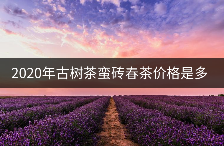 2020年古樹茶蠻磚春茶價(jià)格是多少？