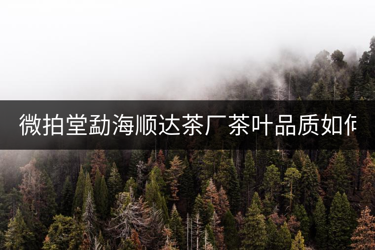 微拍堂勐海順達(dá)茶廠茶葉品質(zhì)如何？