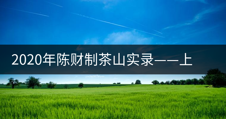 2020年陳財制茶山實(shí)錄——上貢車?yán)镄扛哪强? alt=