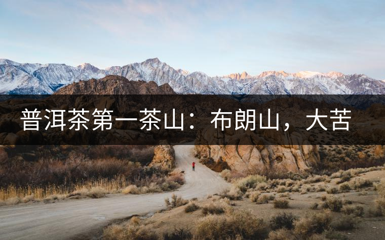 普洱茶第一茶山：布朗山，大苦大甘是它的魂