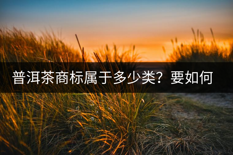 普洱茶商標(biāo)屬于多少類？要如何注冊(cè)
