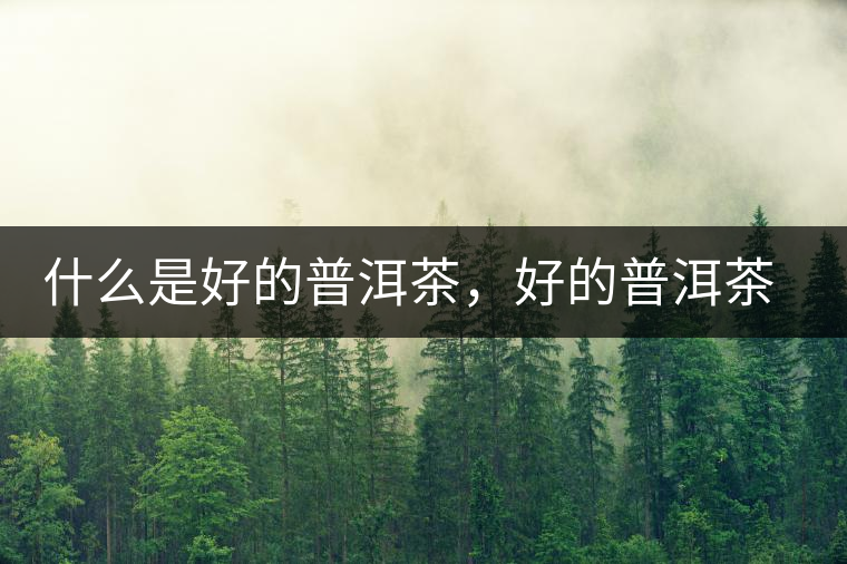 什么是好的普洱茶，好的普洱茶必須要有好的工藝！