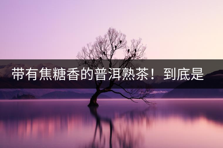 帶有焦糖香的普洱熟茶！到底是好是壞？