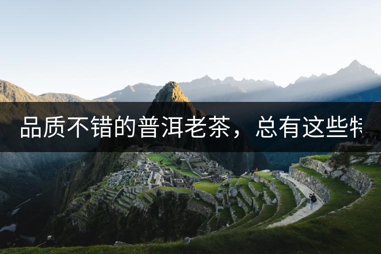 品質(zhì)不錯的普洱老茶，總有這些特點！