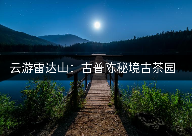 云游雷達山：古普陳秘境古茶園，品第一杯春鮮