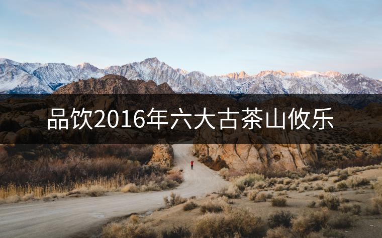 品飲2016年六大古茶山攸樂 品飲2016年六大古茶山攸樂