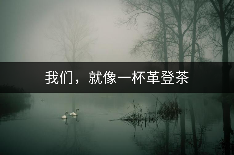 我們，就像一杯革登茶