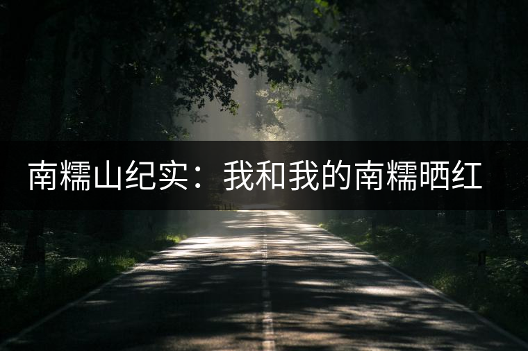 南糯山紀(jì)實:我和我的南糯曬紅茶 南糯山紀(jì)實:我和我的南糯曬紅茶