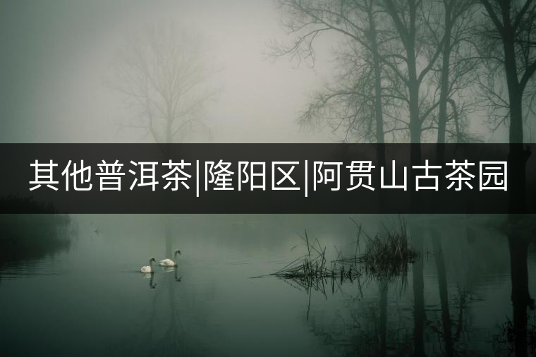 其他普洱茶|隆陽(yáng)區(qū)|阿貫山古茶園 其他普洱茶|隆陽(yáng)區(qū)|阿貫山古茶園