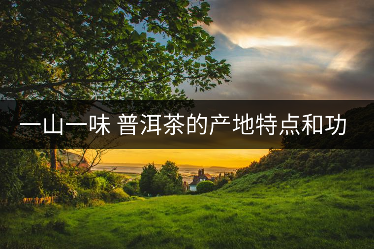 一山一味 普洱茶的產(chǎn)地特點和功效