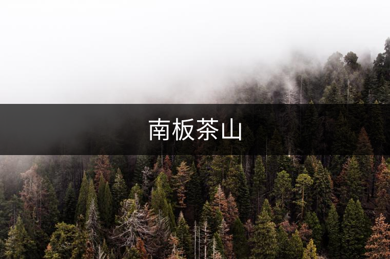 南板茶山 南板茶山