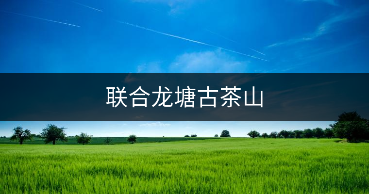 聯(lián)合龍?zhí)凉挪枭? alt=