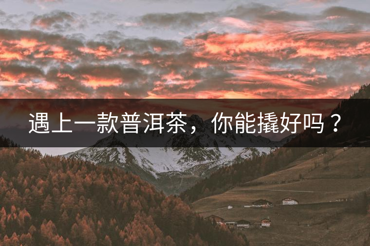 遇上一款普洱茶，你能撬好嗎 ？