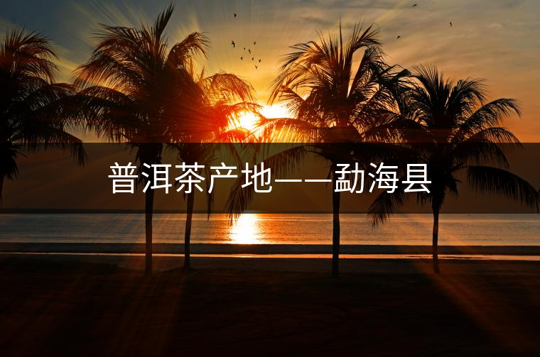 普洱茶產(chǎn)地——勐?？h