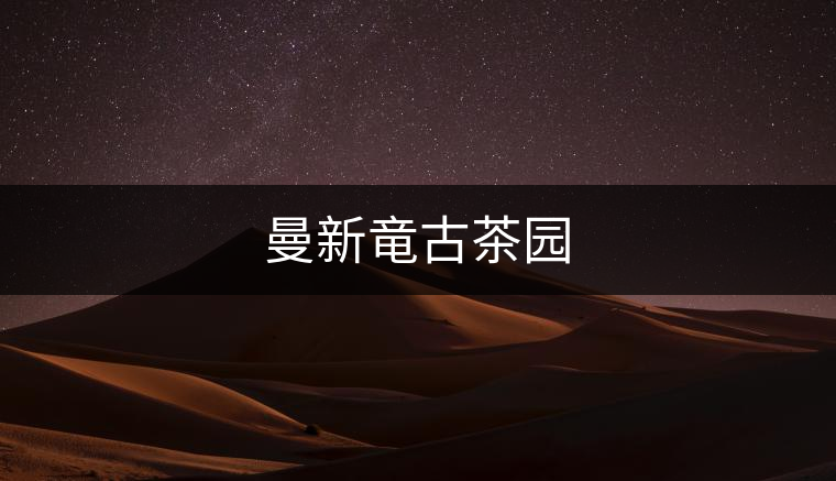 曼新竜古茶園 曼新竜古茶園