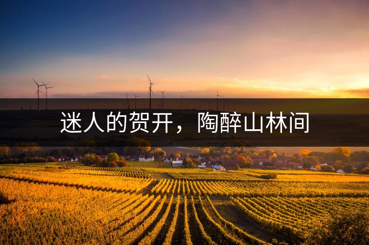 迷人的賀開(kāi)，陶醉山林間