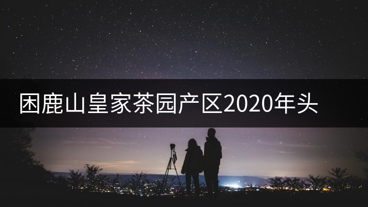困鹿山皇家茶園產(chǎn)區(qū)2020年頭春古樹，白花林口感特點(diǎn)