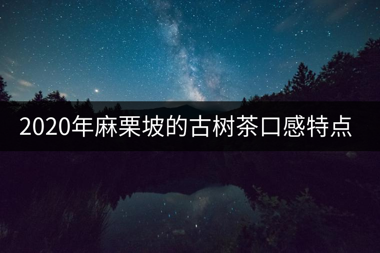2020年麻栗坡的古樹茶口感特點(diǎn)是什么？