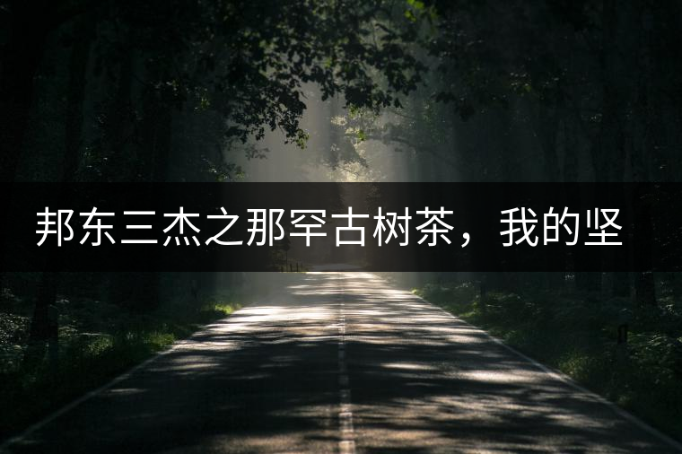 邦東三杰之那罕古樹茶，我的堅(jiān)持