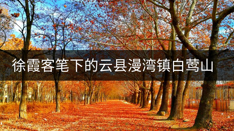 徐霞客筆下的云縣漫灣鎮(zhèn)白鶯山古樹茶