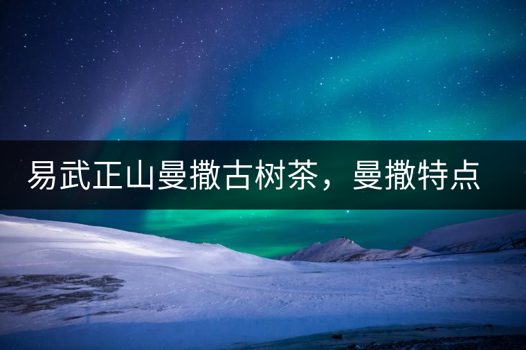 易武正山曼撒古樹茶，曼撒特點分享介紹