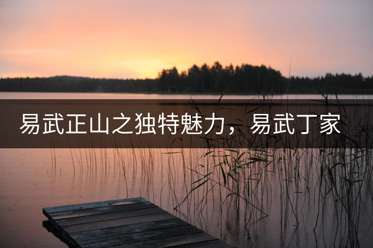 易武正山之獨特魅力，易武丁家寨介紹品鑒