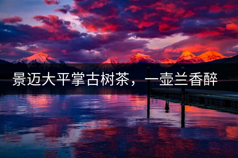 景邁大平掌古樹茶，一壺蘭香醉春秋