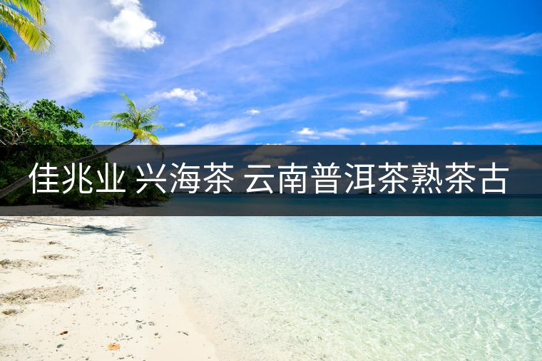 佳兆業(yè) 興海茶 云南普洱茶熟茶古樹小沱茶勐海茶葉小粒裝60g