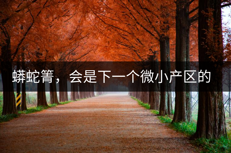 蟒蛇箐，會是下一個微小產(chǎn)區(qū)的熱門山頭嗎？