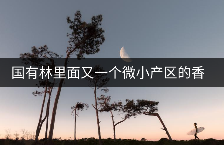 國有林里面又一個微小產區(qū)的香椿林介紹 國有林里面又一個微小產區(qū)的香椿林介紹